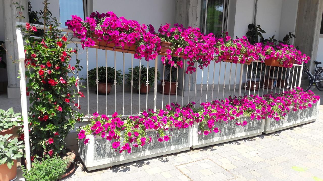 Residence Onda Blu Cervia Exterior photo